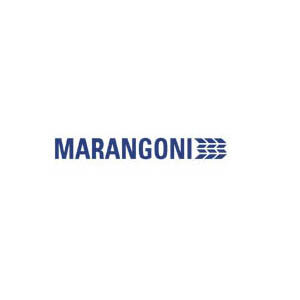 Logo Gomme Marangoni